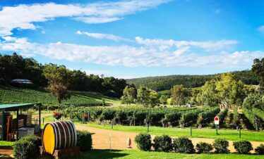Perth Hills Bickley Valley Wine Tours